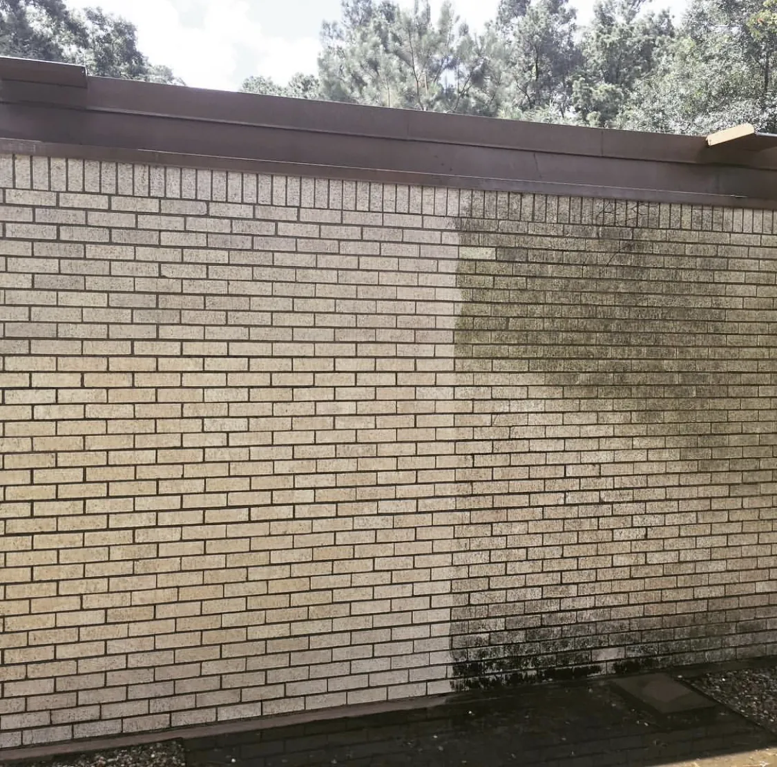 Brick wall partway through cleaning, with clean light brick on the left and mildew-darkened brick on the right.