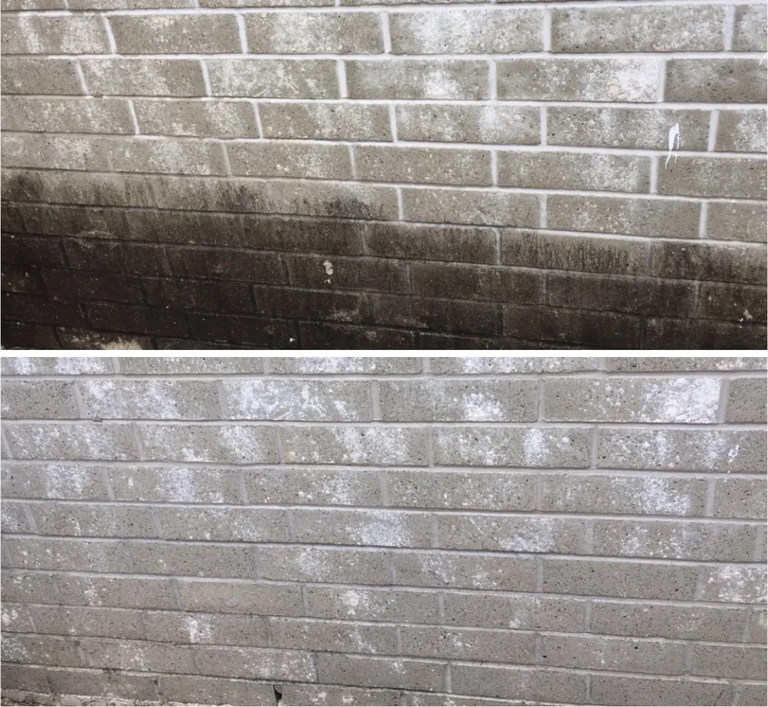 Before and after: brick wall with dark mildew staining along the lower rows, then evenly clean after washing.